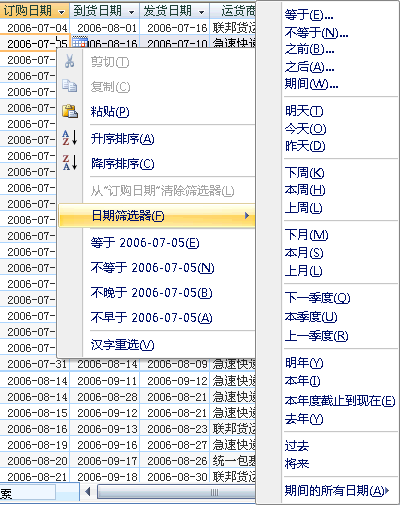 “日期筛选器”菜单