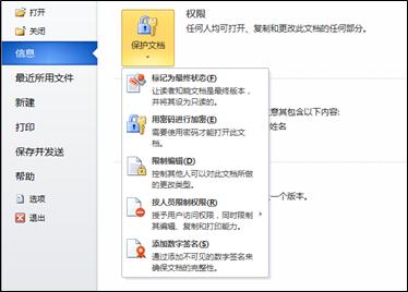 带有选项的“保护文档”按钮